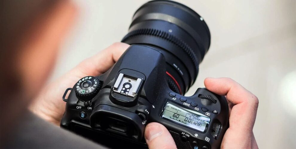 Exploring the World of Macro Photography – Tips and Techniques